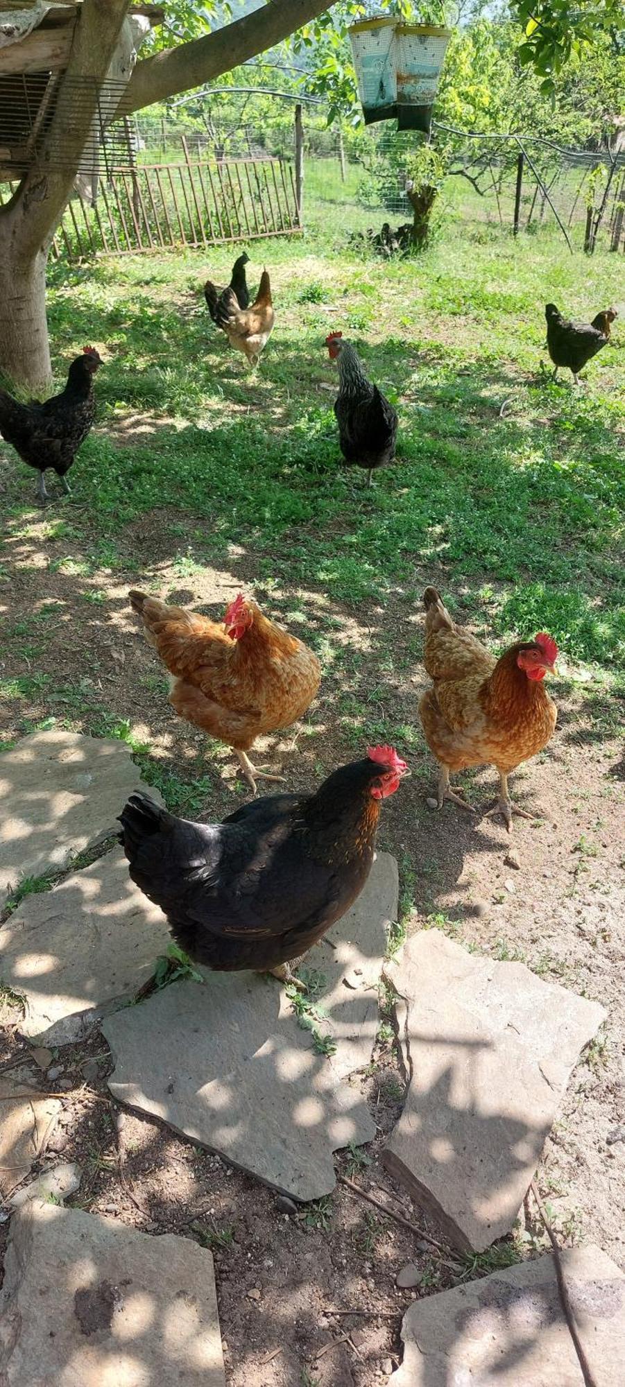 Country Home Genesi 20 Min From Trikala 外观 照片
